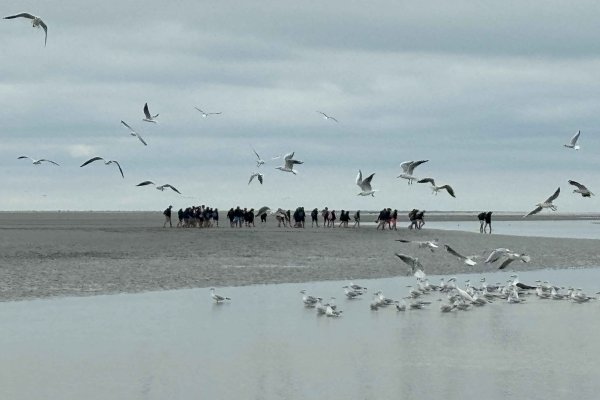 Promotion Sainte-Clothilde : deux jours d'intégration
