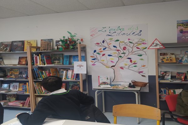 arbre libertes feuilles colorees